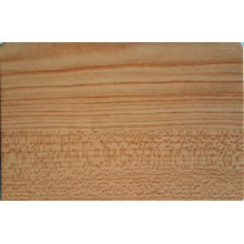 Bobina de alumínio Maple Color coated